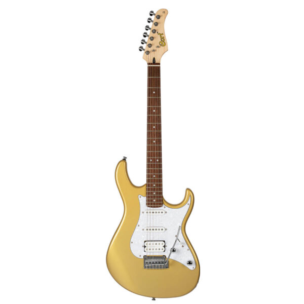 Cort Guitar G250