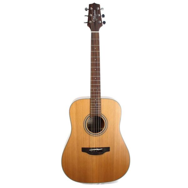 Takamine Guitar GD20