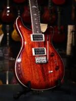 PRS SE Standard 24