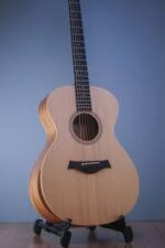 Taylor Guitar Academy 12