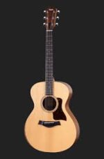 Taylor Guitar Academy 12