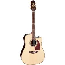 Takamine Guitar P5DC (Pro Series)