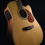 Cort Guitar MR710F