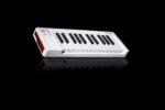 Arturia MicroLab MK3 MIDI Controller Keyboard