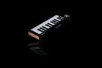 Arturia MicroLab MK3 MIDI Controller Keyboard